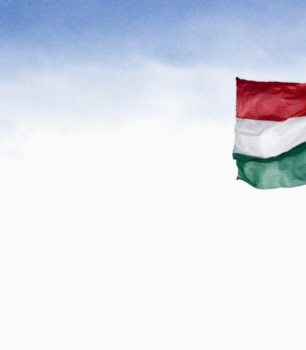 Kihalhat-e a magyar nyelv?